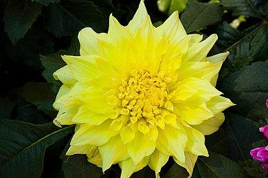 《孤岛危机：复刻版三部曲》上架Epic 暂未开放购买